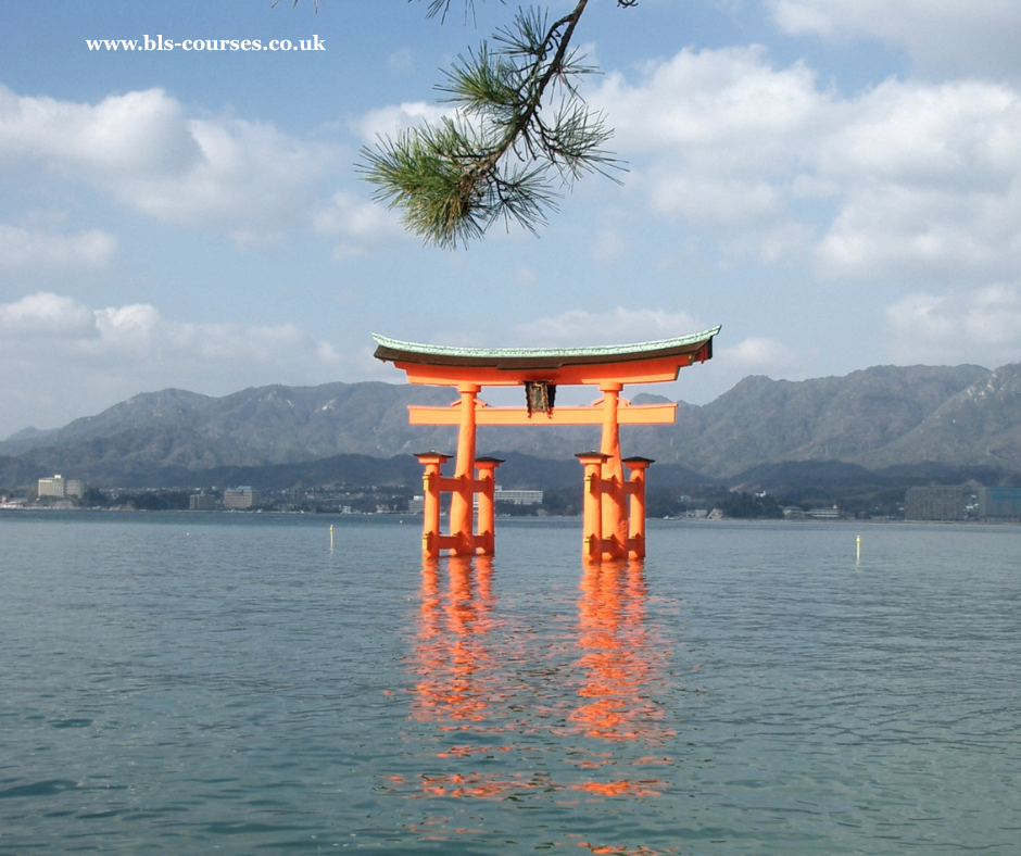 Japanese Online Adult Beginner Level 1 Language Course (Oct-Dec 2025)