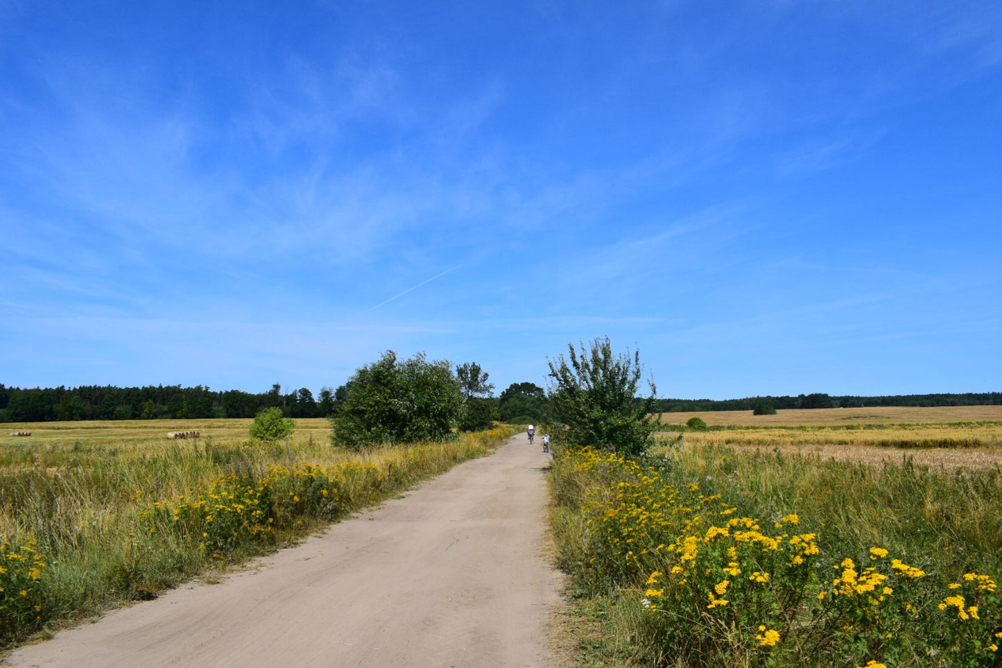 Polish Online Individual Tuition