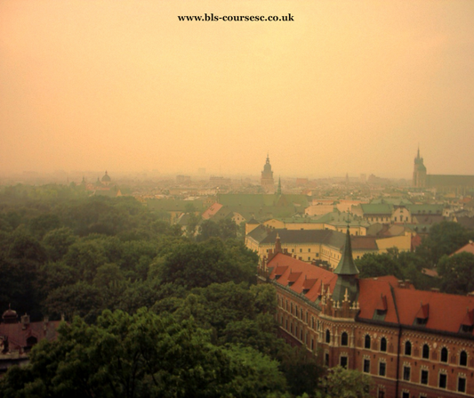 Polish Online Adult (18+) Beginner Level 1 Language Course (Oct-Dec 2026)