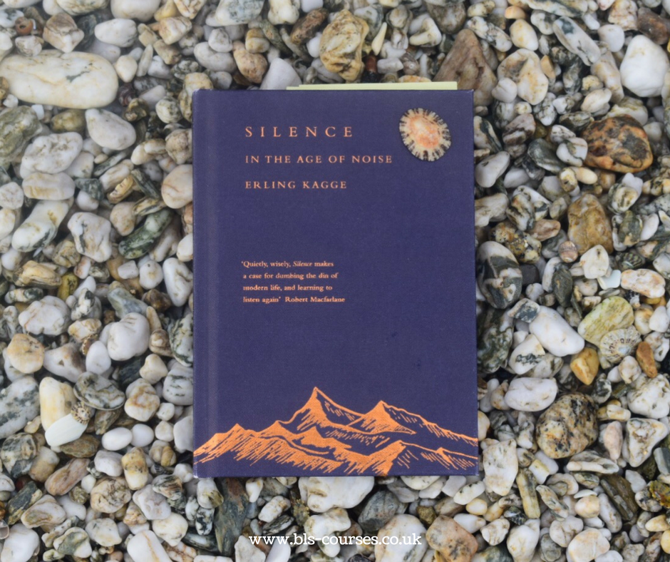 lake silence book